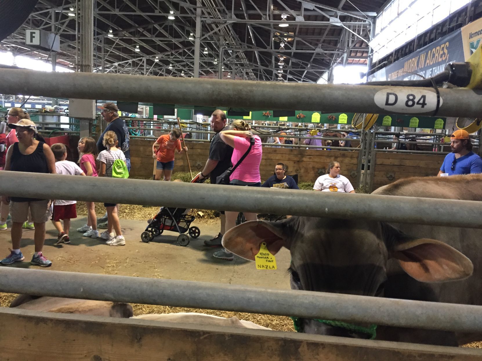 081118rb-fair-cattle-barn